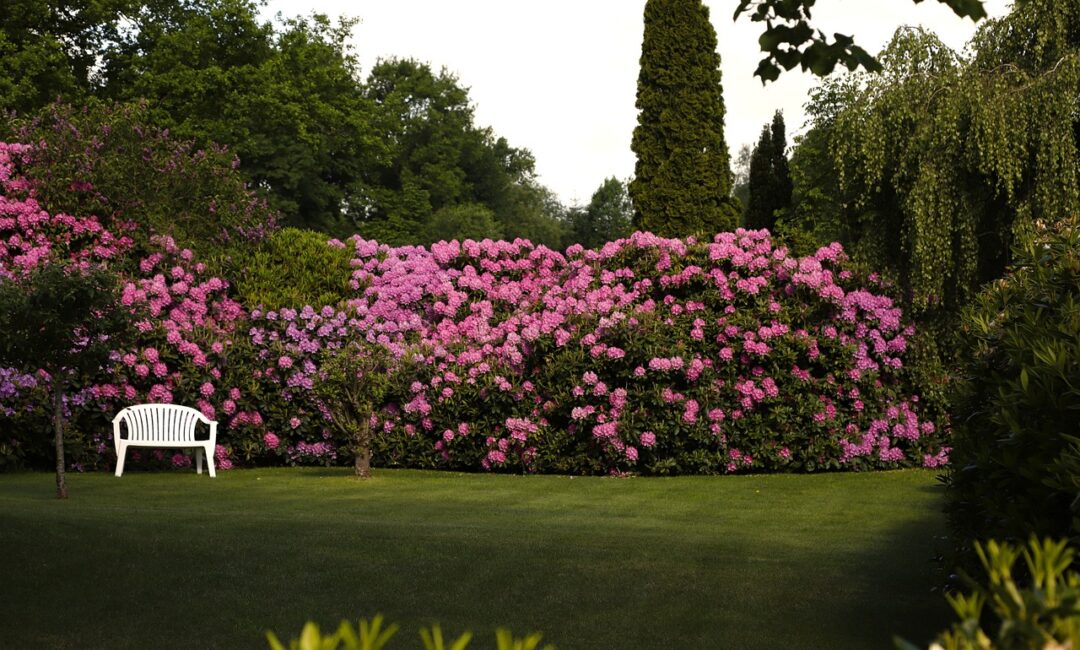 Astuces_et_conseils_pour_aménager_une_terrasse_de_jardin_pour_votre_maison